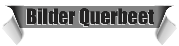Bilder Querbeet