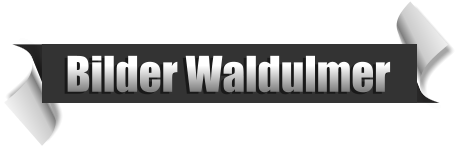 Bilder Waldulmer