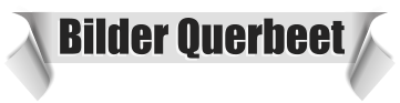 Bilder Querbeet