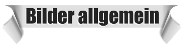 Bilder allgemein